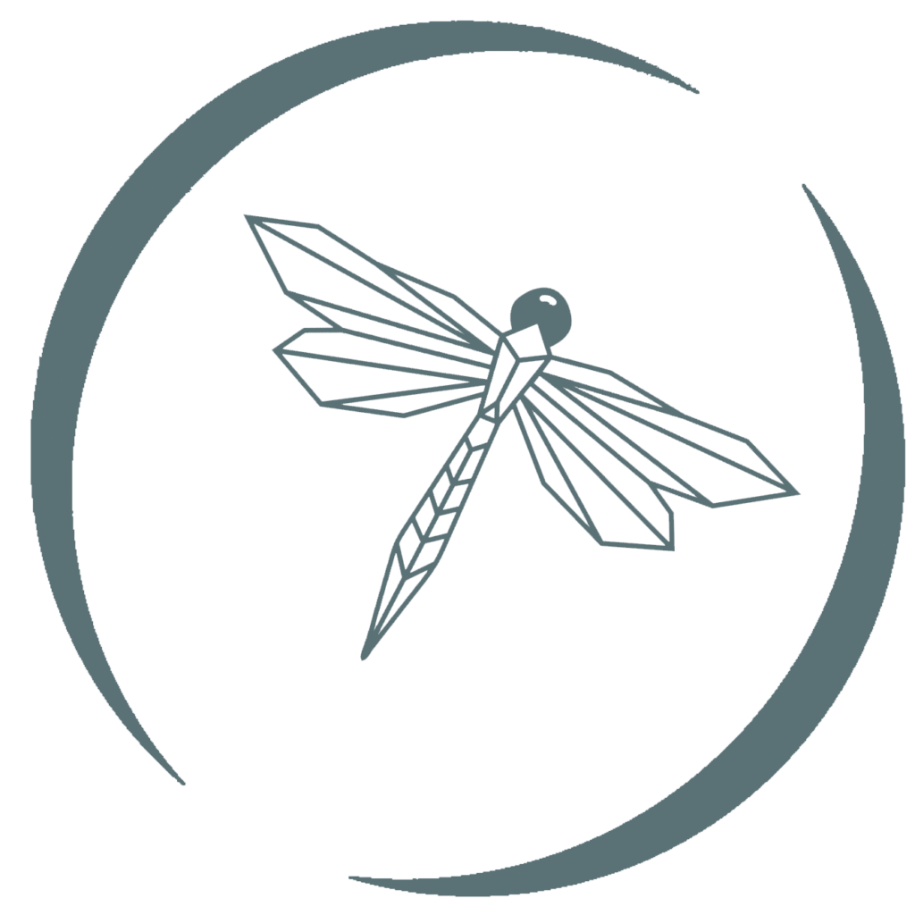 Dragonflies are totem animals, they are used in 1428's mens life coach services to symbolize the wisdom of transformation
